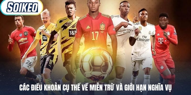 Các điều khoản cụ thể về miễn trừ và giới hạn nghĩa vụ