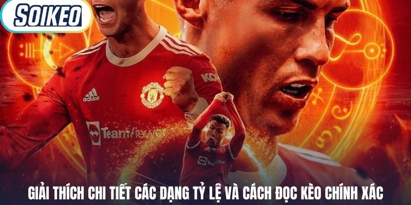 Giải thích chi tiết các dạng tỷ lệ và cách đọc kèo chính xác