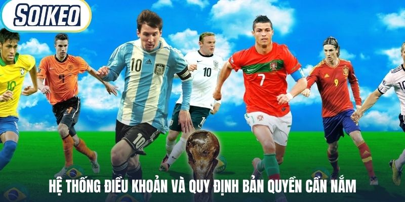 Hệ thống điều khoản và quy định bản quyền cần nắm