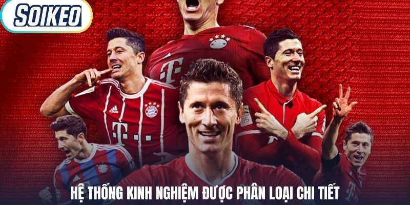 Hệ thống kinh nghiệm được phân loại chi tiết