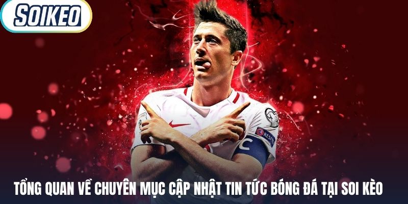 Tổng quan về chuyên mục cập nhật tin tức bóng đá tại Soi Kèo