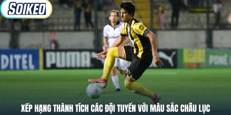 Xếp hạng thành tích các đội tuyển với màu sắc châu lục